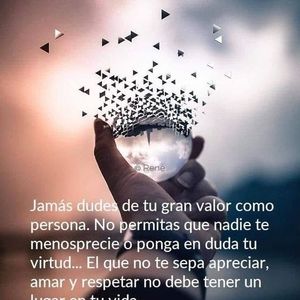 Meet your Posher, Steve